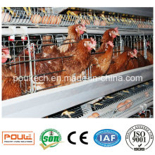 Automatic Galvanization Layer Broiler Pullet Chicken Cages